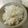 かるこ姉さん's cooksnap of when they made パパも大好き！生姜ご飯.