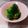 つぼみの's cooksnap of when they made ヘルシー！ブロッコリーのポン酢炒め.
