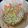 かなげっちょ's cooksnap of when they made レンコンとキャベツのあっさりマヨサラダ.