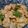 クック6DDPP8☆'s cooksnap of when they made 簡単☆ご飯のすすむ回鍋肉.