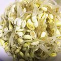 上海まま's cooksnap of when they made もやしナムル.