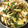 ホウキボウシ's cooksnap of when they made 簡単♬たけのこと白菜 なめこの中華煮✾.