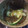 すーころん's cooksnap of when they made わかめときゅうりとしらすの三杯酢和え.