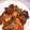 たくとだよ19歳だよ's cooksnap of when they made ぷちっと香ばしい♪ 白黒ゴマ唐揚げ.