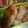 かなげっちょ's cooksnap of when they made 花粉症対策に　照り焼きレンコンつくね.