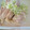 moyu．cafe's cooksnap of when they made 簡単☆やわらか蒸し鶏.