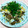 まぶたん's cooksnap of when they made イカとエリンギのバター炒め.