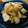 カニーヘン's cooksnap of when they made 白菜の葉だけで簡単☆中華風オイごま炒め.