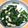 クックXLS5X4☆'s cooksnap of when they made 「ほうれん草のクリームチーズ和え」.