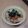 ラリー＆サラ's cooksnap of when they made 簡単∑(゜Д゜えのき＆大根おろし＆ポン酢.