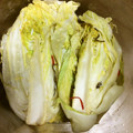 林檎のパイ's cooksnap of when they made 冬に保存も♪ 本格 白菜漬.