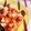 ※ぴーまん's cooksnap of when they made 豆腐キムチーズ.