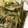 クックXCI6PE☆'s cooksnap of when they made アジの南蛮漬け.