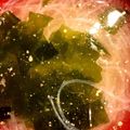 chiko♫'s cooksnap of when they made 簡単！春雨スープ.