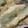ねこはがき's cooksnap of when they made イワシの磯辺揚げ.