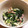みどすけ☆'s cooksnap of when they made イカとネギのぬた.