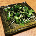 ぽめchan's cooksnap of when they made ☺お弁当に♪かいわれと塩昆布の和え物☺.