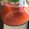 witchaura's cooksnap of when they made 元気な自家製いちご酵母.