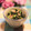 ぽっぽぺぺ's cooksnap of when they made コマツナとツナのささっと辛子マヨ和え.
