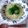 tomome's cooksnap of when they made マクロビ☆ブロッコリーと丸麦の春スープ.