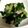 クックWK3Z85☆'s cooksnap of when they made 材料2つだけ！ほうれん草のツナ炒め.