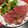 作るの大好き人間's cooksnap of when they made 簡単◎フライパンだけでローストビーフ.
