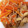 kojikoji31's cooksnap of when they made 簡単切り干し大根の煮物☆作り置きおかず♪.