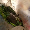 家族の美味しい☆'s cooksnap of when they made 高菜の葉 おにぎり巻用.
