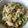 まはけか's cooksnap of when they made レタスと納豆のチャーハン.