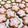 mogumogu5's cooksnap of when they made ありがとうカード桜のアイシングクッキー.
