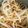 クックSUQ3AQ☆'s cooksnap of when they made 簡単！もやしのナムル.
