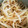 クックSUQ3AQ☆'s cooksnap of when they made 簡単！もやしのナムル.