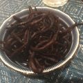 モモコ2016's cooksnap of when they made ひじきの出し煮.