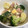 USACO66's cooksnap of when they made まるごとじゃがいものニース風サラダ.