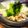 GoGo島みかん's cooksnap of when they made 旬の味＊生わかめと春菊のしゃぶしゃぶ.