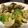 すぷも's cooksnap of when they made アボガドとエリンギの豚炒め.