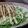 ダイナマイト漆黒's cooksnap of when they made 納豆サラダ.