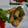 クック8XOA9D☆'s cooksnap of when they made 一番簡単☆ちくわの磯辺あげ☆.