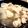 たこちゃんの奥さん's cooksnap of when they made 簡単〜♪鶏むね肉と大根の煮物.