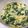 クック01CGYM☆'s cooksnap of when they made 鶏ガラの粉のたまごスープ.