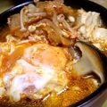 せろ君's cooksnap of when they made お鍋の残りでにゅうめん.