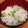 クック2Q10JU☆'s cooksnap of when they made 絶対美味しい セリの混ぜご飯.