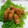 ゆま◇'s cooksnap of when they made 簡単★豚肉のえのき巻き.