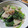 えみんちゅ＊'s cooksnap of when they made ☆ｶﾘｶﾘ豚ﾊﾞﾗとほうれん草の和え物.