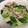 いすこ228's cooksnap of when they made 豚肉と九条ネギの塩こしょう炒め.