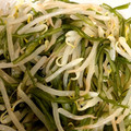 YuzuKizu's cooksnap of when they made おつまみの「茎わかめ」ともやしの和え物♪.