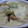 ちばたま's cooksnap of when they made じゃがいもときのこの簡単ドリア.