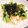 Rika☆Rin's cooksnap of when they made 一人ランチ＊鮭フレークとアボカド簡単丼♪.