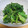 柊さくら's cooksnap of when they made まろやか☆ほうれん草の胡麻和え.