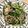 maarrii's cooksnap of when they made 蓮根と水菜のシャキシャキ炒め.